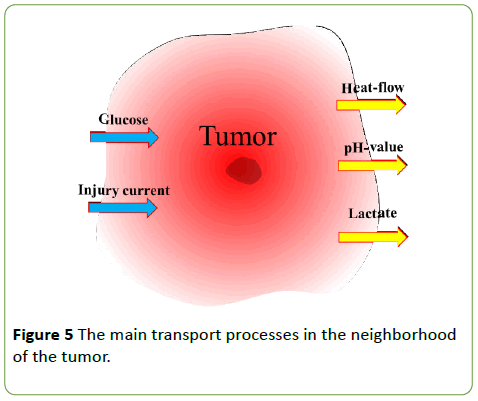 neoplasm-neighborhood-tumor